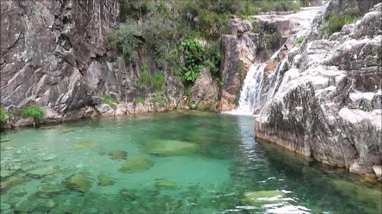 River - Na Natureza *