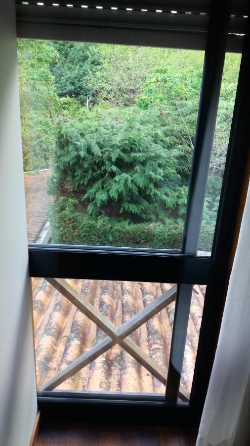 Apartment River - Na Natureza